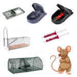 Patkányfogó csomag