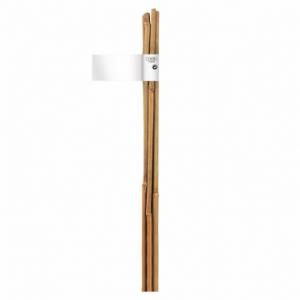 Bambusz termesztő karó 150 cm 2db/csom Bamboo 140834