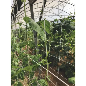 Növénytartó háló Trellinet COMPOST  2x5m 200x200 fehér 2022738