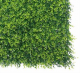 Zöldfal buxus levelekkel Vertical Buxus 1mx1m